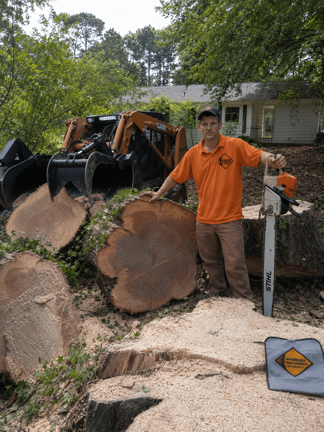 Affordable Tree Experts crew on the job